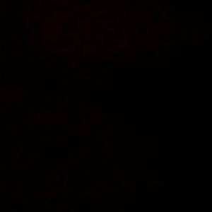 Meet your Posher, Max